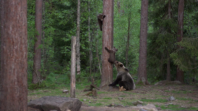 Natuurlijk Noorwegen